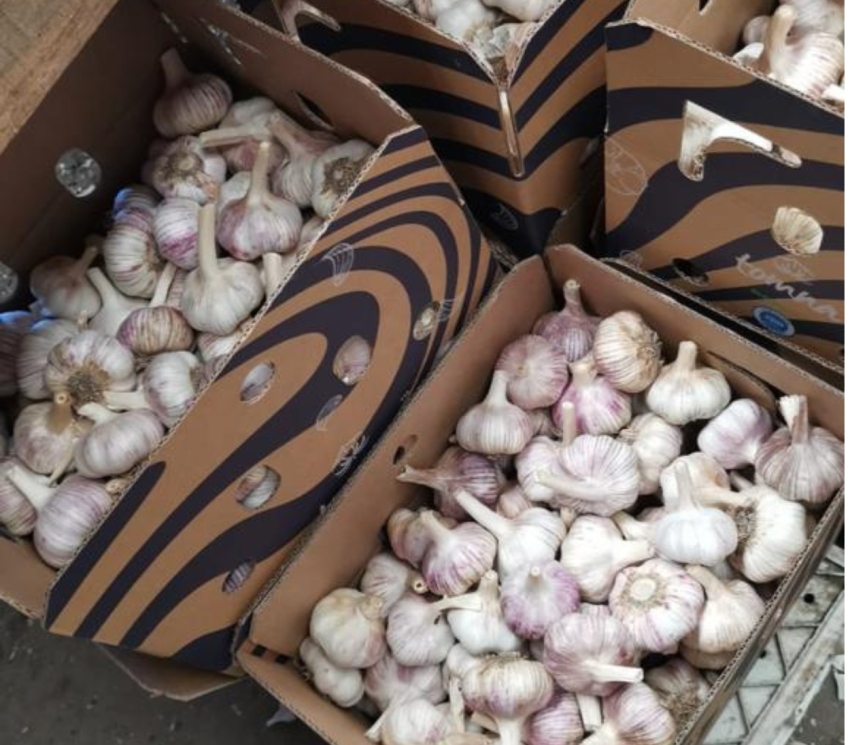 Garlic packaging